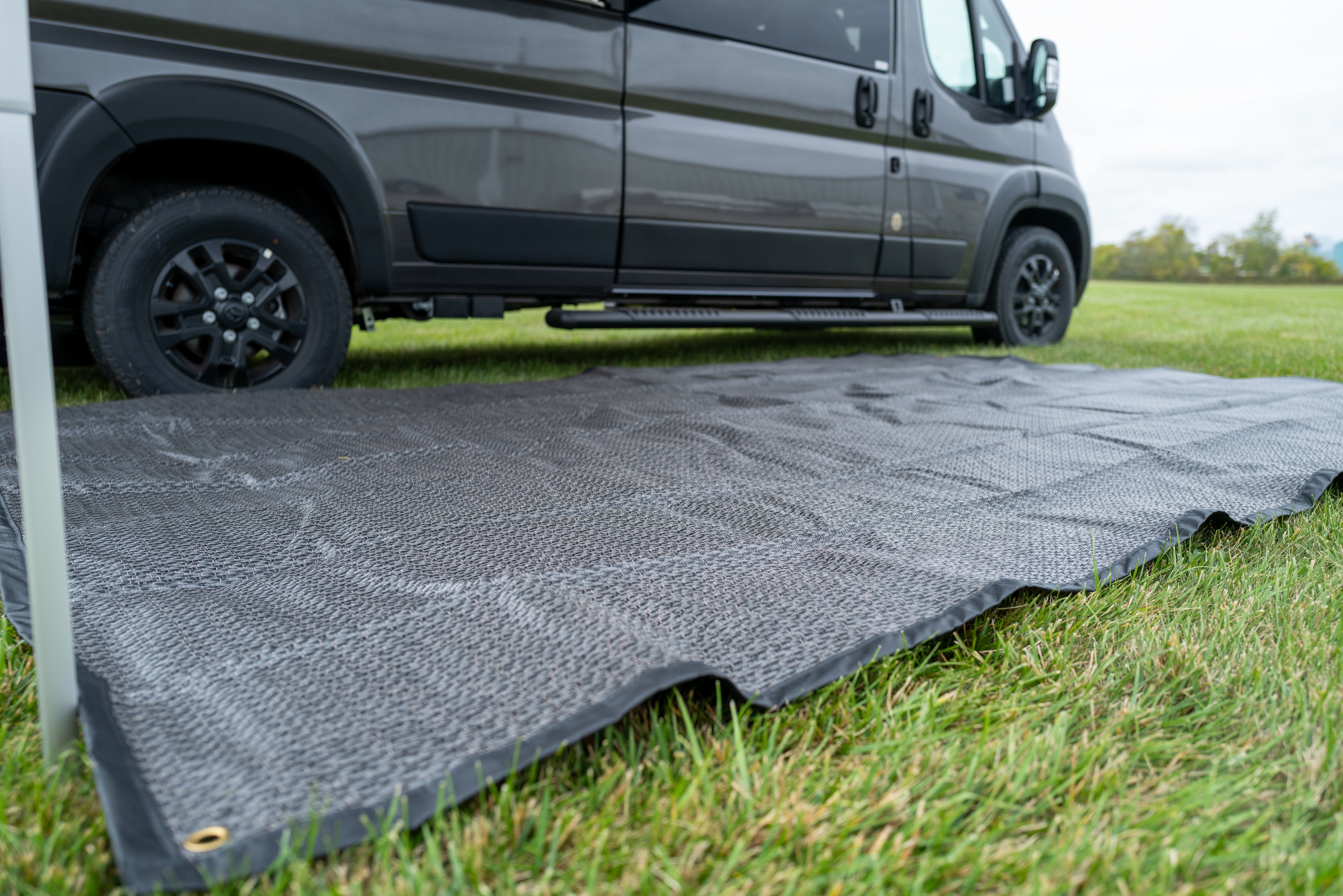 Edged Carpet